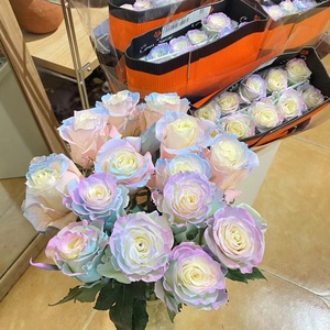新品欧若拉厄瓜多尔玫瑰进口鲜花生日婚礼求婚七夕情人节花束上海
