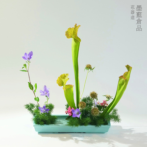 小原流长方形插花花器禅意插花器皿日式花道陶瓷花盘多肉植物花盆