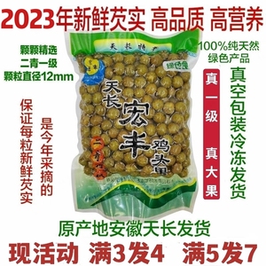 [原产地天长发货]2023野生芡实新鲜鸡头果鸡头米带壳二青一级500g