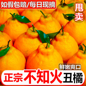 四川不知火丑橘9斤桔子当季新鲜时令水果整箱包邮柑非耙耙粑粑10