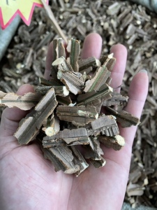 鬼箭羽秦岭野生鬼箭羽卫矛鬼箭羽鬼剑羽新鲜带枝货无硫500g包邮