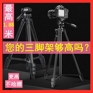 佳能相机三脚架单反M200便携800D200D2微单M3M6摄像750D支架M50G7