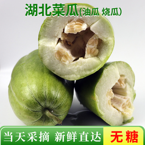 菜瓜湖北新鲜油瓜农家露天种植烧瓜非甜瓜清爽脆嫩青瓜现摘5斤