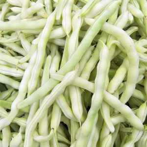 四季豆 四季梅 白四梅 新鲜蔬菜 鲜豆角 芸豆 500g 一斤