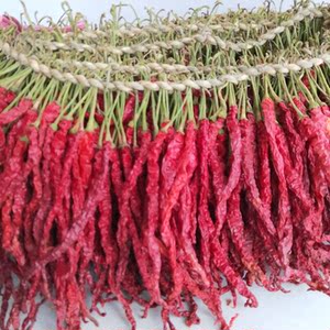 特香大方皱椒2018年新干辣椒 香辣二荆条辣椒 贵州干辣椒500g包邮