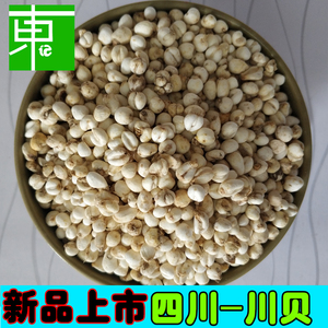 东仔贝母之家化四川痰 正品特级野生川贝粒母松粉贝中药材尖贝50g