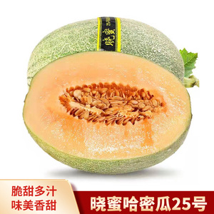 海南晓蜜25号哈密瓜 新鲜应当季水果脆甜网纹香蜜瓜_阿里巴巴找货神器