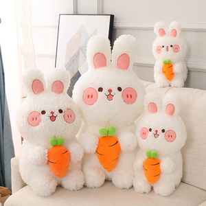 可爱抱胡萝卜小兔子玩偶毛绒玩具儿童抱枕玩偶生日礼物白兔兔公仔