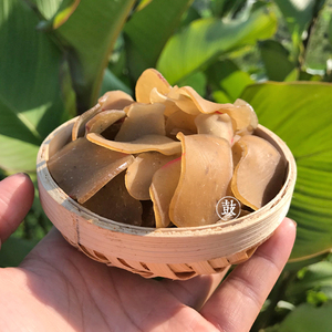 江西特产玉兰片