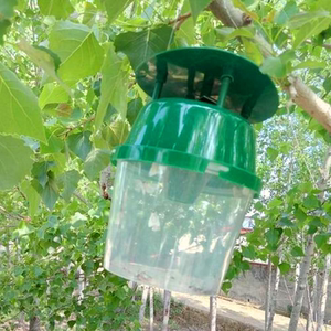 美国白蛾性诱剂诱芯秋幕蛾白诱捕器草地贪夜蛾秋粘虫性信息素引诱