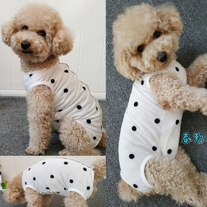 泰迪狗狗衣服薄款母狗报肚子护肚马甲绝育术后护理背心公狗防尿服