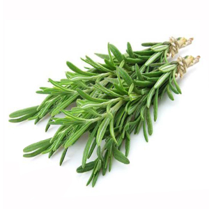 chen5321151淘宝百里香叶500gthyme新鲜香草粉什香草迷迭香 射香草