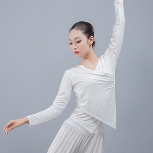 北舞舞蹈练功服v女形体跳舞服装长袖拉丁古典民族舞训练广场服