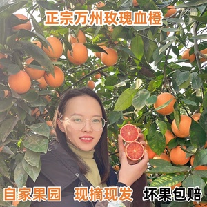 重庆血橙万州玫瑰血橙子当季新鲜水果10斤塔罗科红心脐资中长寿湖