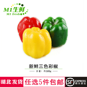 红黄青彩椒新鲜蔬菜甜椒 圆椒 柿子椒 灯笼椒即食沙拉菜3只约500g