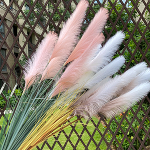 芦苇装饰落地田园