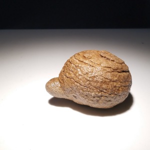 94天然沙积岩雅丹石原石龙龟象形配景造型手把玩摆件尺寸46x36x29