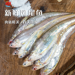 凤尾鱼500g