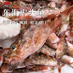 【闹妈海鲜】舟山东海小虎头鱼 一斤10条左右