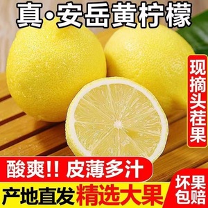 四川安岳黄柠檬5/10斤新鲜皮薄一级大果柠檬新鲜水果奶茶店专用
