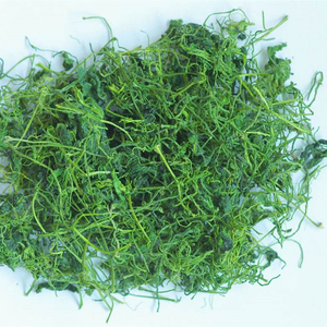 神农架绞股蓝龙须茶苦味七叶野生绞嫩须茶湖北特产散装养生茶绿茶