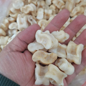 儿时怀旧玩具解压传统天然羊骨真羊拐嘎拉哈染色小号染色羊拐