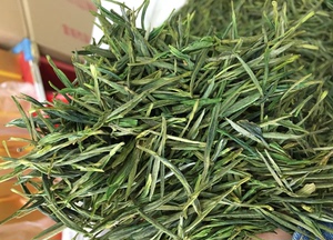 溪口高山茶