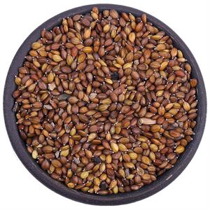 夏枯草种子材种籽白毛夏枯草种籽子四季种植散装阳台盆栽苗孑