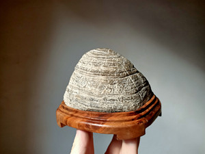 奇石 淄博文石 摆件 观赏石 盆景石 博山纹石 千层纹原石 小禅石