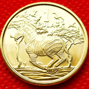 2013年 博茨瓦纳 1普拉 镀黄铜硬币 26mm 斑马