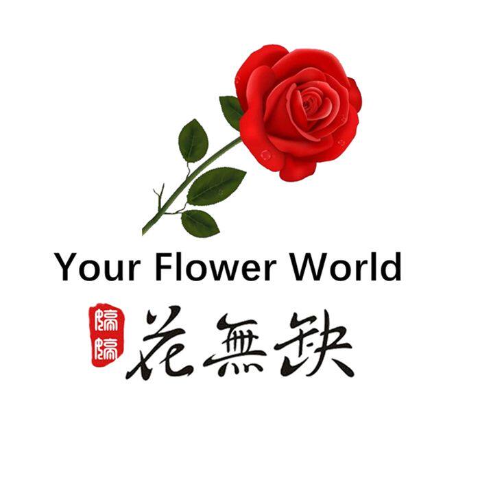 情人节混搭花束玫瑰雏菊绣球洋桔梗西安同城鲜花速递女友生日鲜花