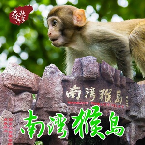 海南三亚猴岛槟榔谷椰田一日游景点门票索道接送安心纯玩无购物