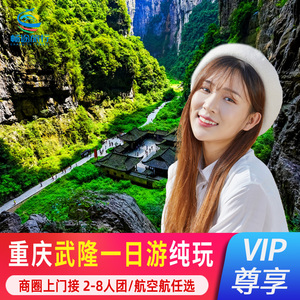 重庆旅游武隆一日游纯玩8人小团包车武隆天坑地缝仙女山跟团纯游