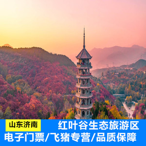 青岛城市之间旅游专营店天猫[红叶谷-大门票]山东济南旅游景区景点