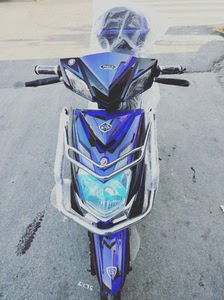 新大洲电动车全新