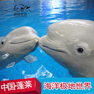 蓬莱海底世界门票