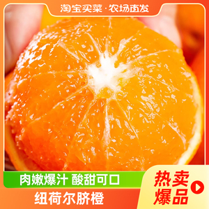 纽荷尔脐橙当季新鲜现摘橙子手剥果冻甜橙水果限秒
