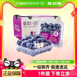 佳沃（joyvio）云南蓝莓4盒/6盒单果14mm+礼盒装新鲜水果顺丰包邮