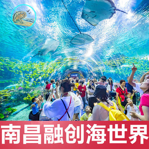 [南昌融创海世界-大门票]南昌融创海洋馆海世界不限人群票