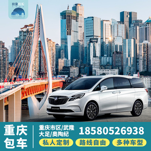 重庆旅游市内包车一日游周边游武隆天生三桥仙女山奥陶纪大足石刻