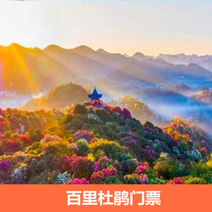 [百里杜鹃-大门票]贵州旅游百里杜鹃大门票