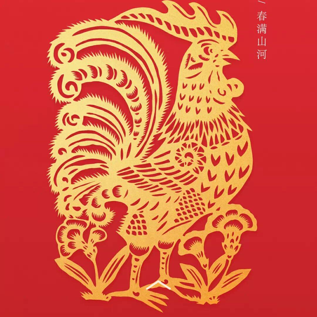 琪琪宝贝内衣店