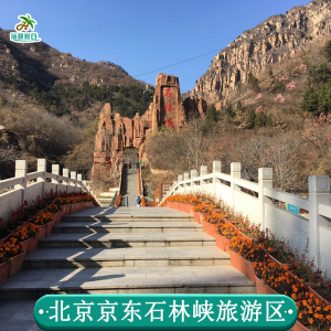 [京东石林峡旅游区-门票 ufo玻璃观景台]京东石林峡门票 ufo玻璃观景