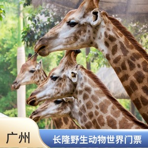 [广州长隆野生动物世界-单人游门票（不含水上乐园全天票）（可选人群）]广州长隆野生世界动物园