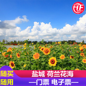 [荷兰花海-大门票]荷兰花海盐城江苏门票荷兰花海
