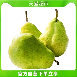阿根廷进口帕克梨 大头梨 4粒尝鲜装 单果200g以上 新鲜水果梨子