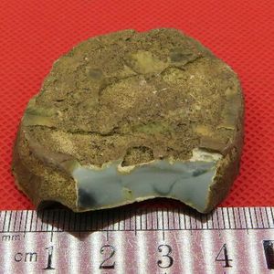 呼伦贝尔彩玉原石蛋白石鸡肝石雕刻料石俏色石头美石籽料摆件特价