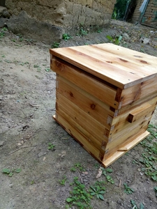 中蜂箱gn箱