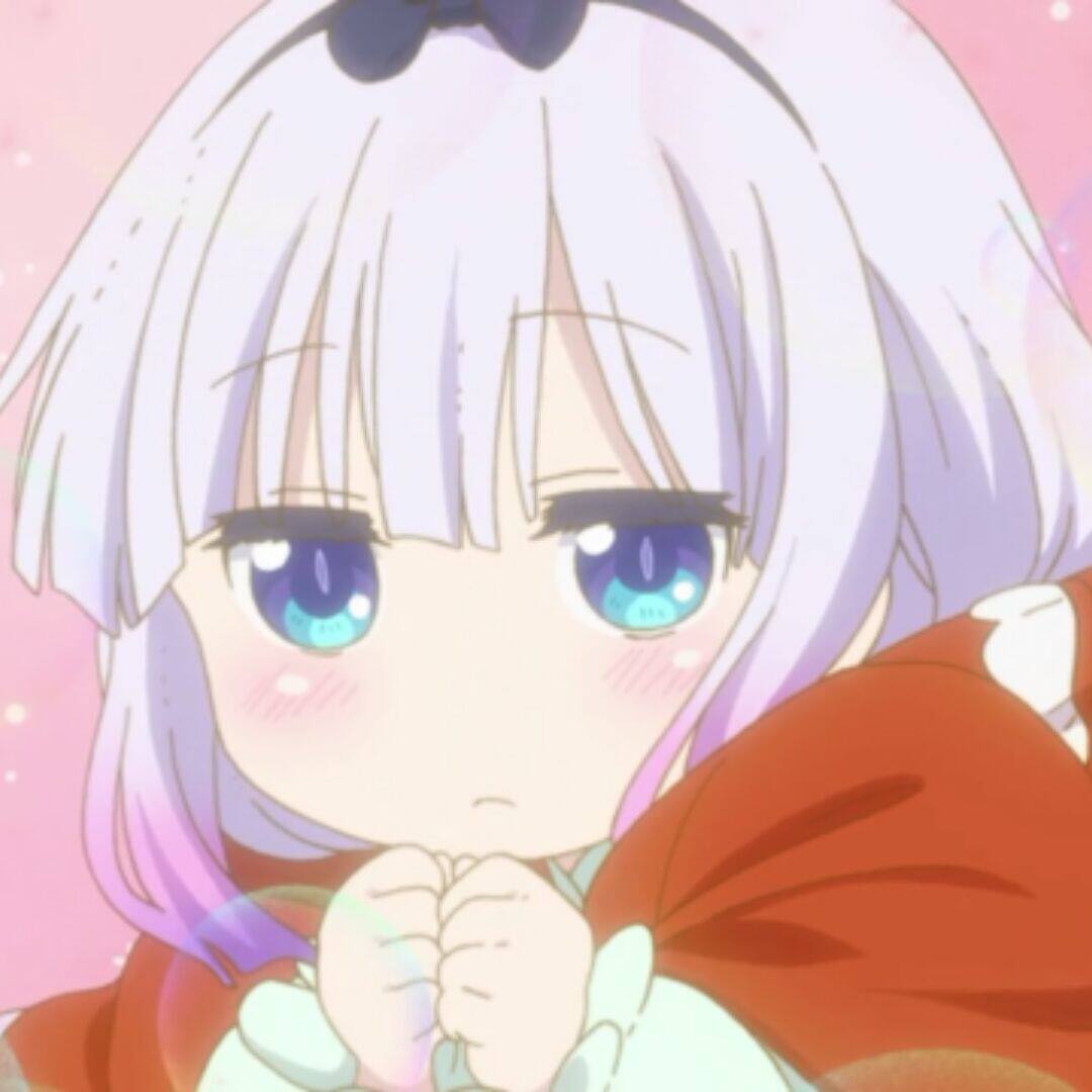 魔装学园h×h(12集全无修)