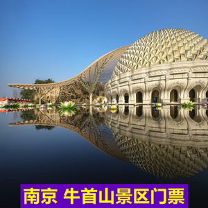 店天猫[牛首山文化旅游区-大门票]南京牛首山风景区门票55人付款88